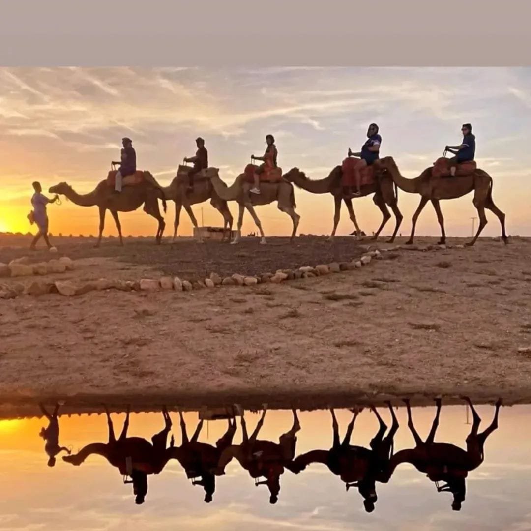 Camel Ride in Agafay Desert Gallery 3