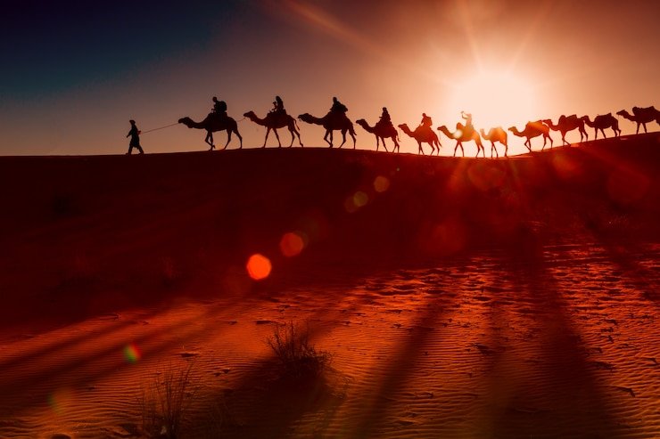 Camel Ride in Agafay Desert Gallery 2