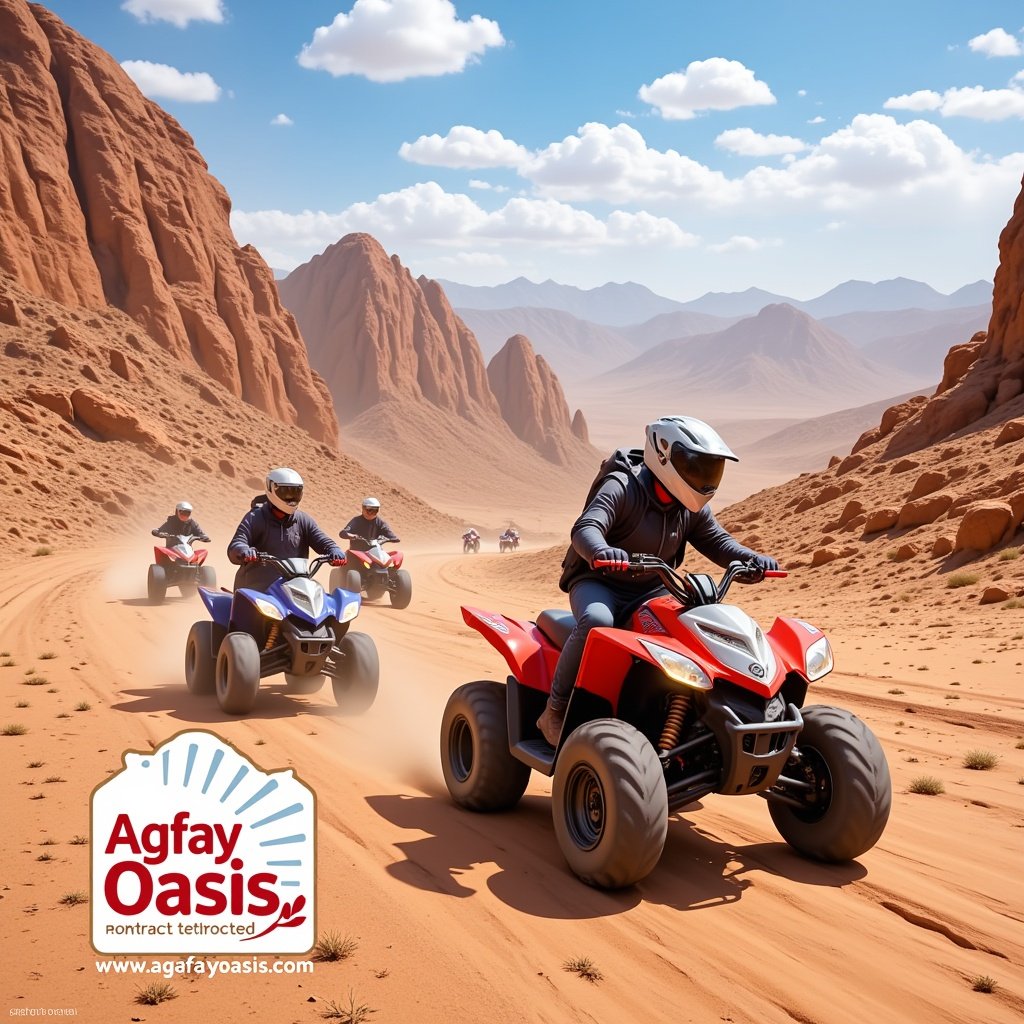 Package Gallery Image